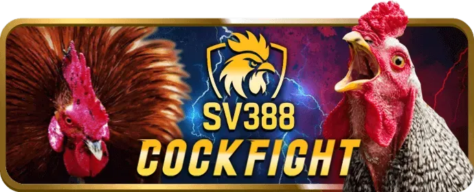 Hình ảnh minh họa phản hồi khách hàng và cải thiện dịch vụ của 11bet nhà cái
